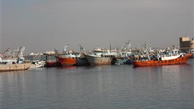 طرق الحصول على تراخيص الصيد في السويس