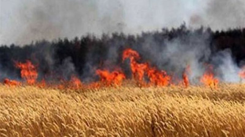 صورة ارشيفية
