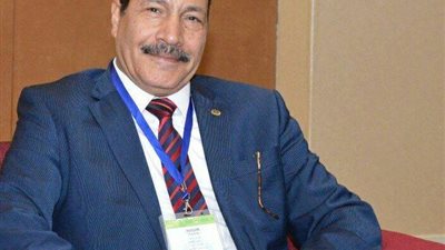 د. فتحي الشرقاوي: المشككون في إنجازات السيسي أقلية.. ويختزلون المسألة في الأكل والشرب