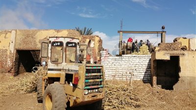 «يا أبو اللبايش يا قصب».. حكاية أقدم عصارة عسل بالمنيا (فيديو)