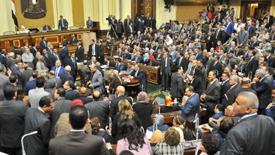 رئيس «الأعلى للفلاحين»: «الشعب مش ناقص والشباب عامل زي الفراخ البيضا»