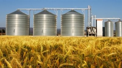 «برلماني»: اكتشفنا فساد بـ100 مليون جنيه في صومعتين للقمح