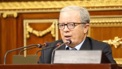 رئيس خطة النواب يتوقع تحصيل نحو 100 مليار جنيه من ضرائب المهن الحرة