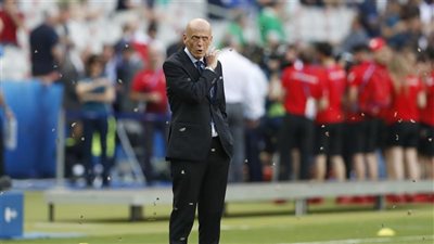 بالفيديو والصور.. الجراد يغزو ملعب نهائي اليورو بين فرنسا والبرتغال