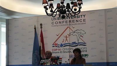 وزيرة البيئة: التنوع البيولوجي له تأثير مباشر على الماء والغذاء