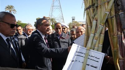 وزير التموين يلتقي مزارعي القصب بقنا لحل مشكلاتهم مع شركة السكر