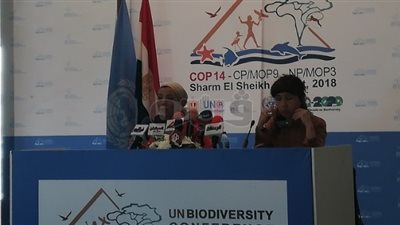 وزيرة البيئة: مصر تقود العالم من خلال مؤتمر التنوع البيولوجي