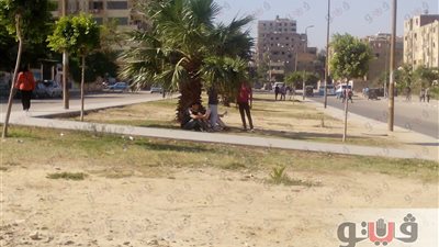 بالصور.. طلاب حلوان يراجعون «الرياضيات» تحت الأشجار