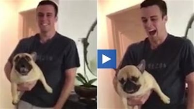 بالفيديو والصور.. كلب يعترض على عدم اصطحابه في نزهة بطريقة طريفة