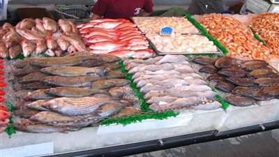 استقرار أسعار الأسماك بسوق العبور