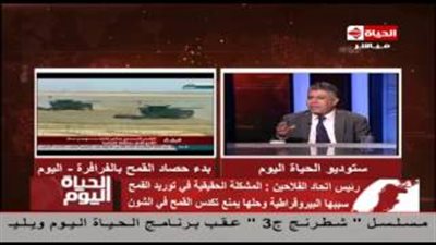 بالفيديو.. رئيس اتحاد الفلاحين: مشكلة توريد القمح «مصطنعة»