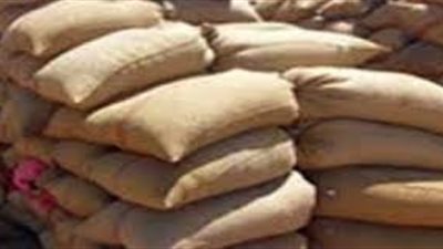 «الشراكي»: بنك الائتمان يعرقل استلام القمح من الفلاحين