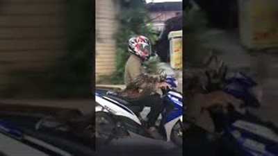 رجل يحمل ثعبانا ضخما على «موتوسيكل» ويثير ذعر السائقين (فيديو)