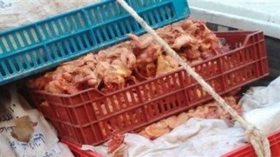 التموين تضبط «مافيا اللحوم الفاسدة».. مصادرة 405 أطنان لحوم حمير بمحل شهير بالعجوزة.. «خلف الله»: 3 جهات مسئولة عن الرقابة.. التفتيش كل 15 يوما.. و«عبد الحميد»: حملات جدي