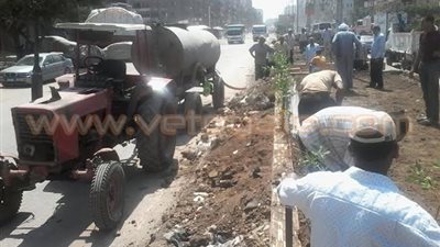 بالصور.. حملة جديدة لتشجير الشوارع لتقليل نسبة التلوث بالقليوبية