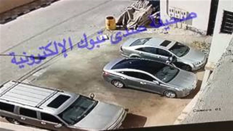 فيتو