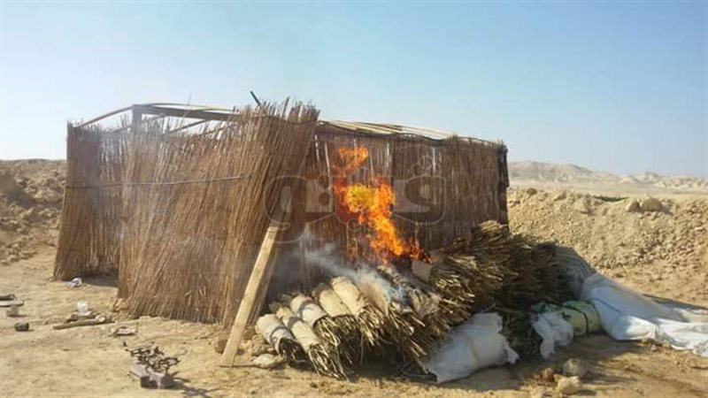 فيتو