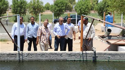 محافظ قنا: لا تهاون مع أي مقصر في عمله (صور)