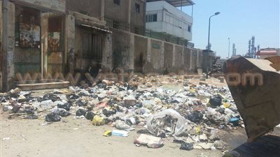 بالصور.. حملة لرفع القمامة وصيانة الكهرباء بشوارع ضواحي بورسعيد