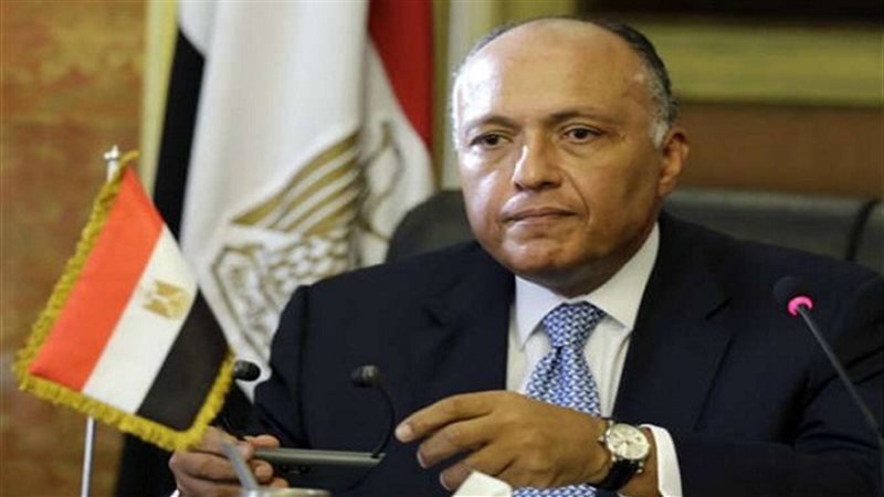 سامح شكرى وزير الخارجية