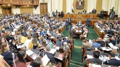 انقسام بالبرلمان بسبب الدواجن المجمدة.. تخفيض سعر «الفراخ» إلى 17 جنيها يشعل الجدل في مجلس النواب.. توحيد تامر: يدمر الصناعة الوطنية.. حسين أبو جاد: يعارضه أصحاب المصالح