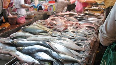 أسعار الأسماك اليوم 6/ 2/ 2019.. والبلطي يسجل 23.50 جنيه