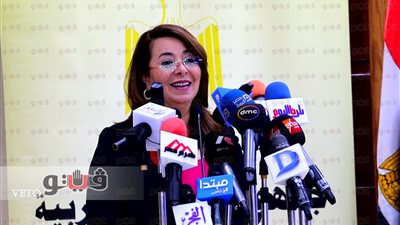 80 جنيها شهريا للسيدة الحامل في محافظات «سوهاج وأسيوط وقنا»