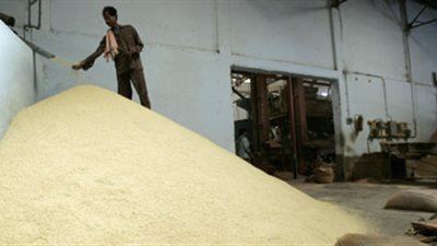 مضارب بلقاس ودمياط تنفي زيادة أسعار الأرز التمويني