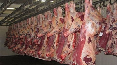 ضبط صاحب ثلاجة لحوم بحوزته 1200 كيلو كبدة فاسدة في الصالحية