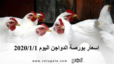 اسعار بورصة الدواجن اليوم 2020/1/1