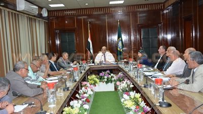 بالصور.. محافظ الدقهلية يضع خطة لحل مشكلات توريد القمح ومنع تهريبه