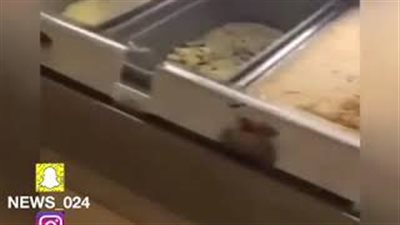 بالفيديو.. صراصير داخل محل آيس كريم تثير استياء السعوديين