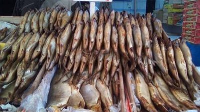 «حماية المستهلك»: ضبط 4 أطنان رنجة وفسيخ منتهية الصلاحية بالغربية