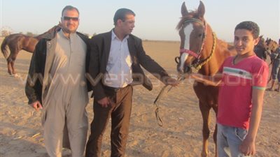 بالفيديو والصور.. «هرم ميدوم» ببني سويف يسقط من حسابات المسئولين.. الشركات تجاهلت أول هرم بُني في التاريخ.. الأهالي: ننظم سباق خيل سنويا للترويج.. والإهمال يهدد بضياع الآثار التاريخية