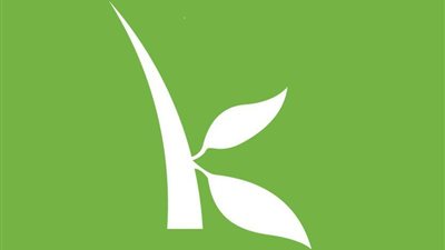 بالفيديو.. قروض «كيفا» منافس جديد للبنوك عبر الإنترنت