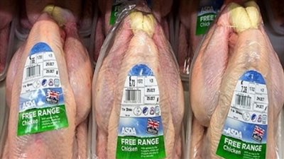 «الوزراء» يكشف حقيقة عدم صلاحية الدواجن المستوردة بالمجمعات