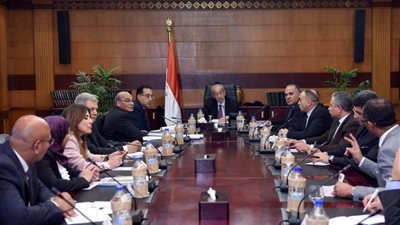 رئيس الوزراء يكلف بالاستغلال الأمثل للمياه والتخلص من ورد النيل