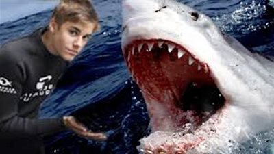 بالصور.. سمكة قرش تهاجم «جاستين بيبر» و«جو تاريمني» في مياه استراليا