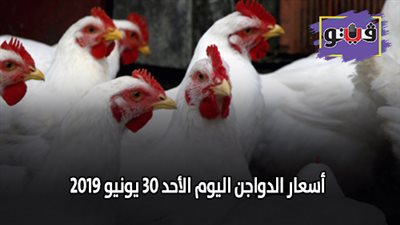 اسعار الدواجن اليوم الأحد 30 يونيو 2019
