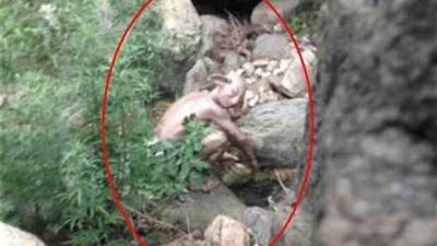 ظهور مخلوقات غريبة بجوار «سور الصين» يثير الجدل حول حقيقتها.. «شاهين»: القيامة على المريخ.. «الباز»: كلام تهريج.. و«محلل نفسي»: الخوف سبب هاجس اقتراب «السا