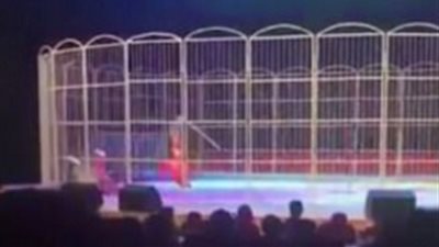 بالفيديو والصور.. نمر يهاجم مدربه في عرض أمام الجماهير