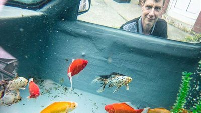 رجل يحول سيارة إلى حوض أسماك (فيديو وصور)