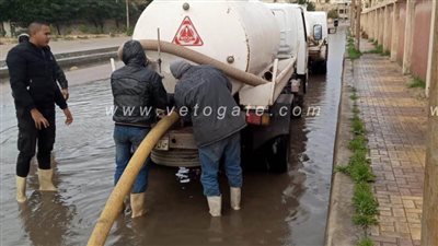 نوه عيد الميلاد تضرب الإسكندرية| صور