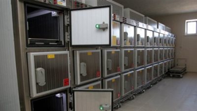 سيدة تقتل زوجها بمساعدة عشيقها بعد شهر العسل