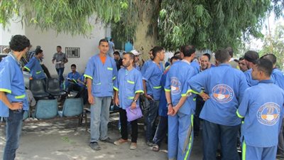 40 عاملا يتهمون شركة بعدم صرف مستحقاتهم المالية في الجيزة