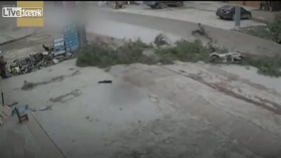 شجرة تطيح بقائد دراجة نارية بعد سقوطها في الطريق (فيديو)