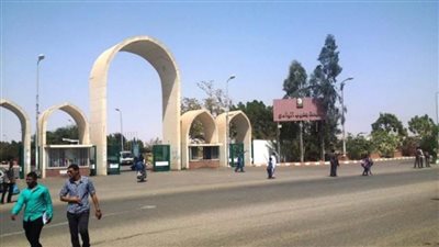 إنشاء مركز تنمية المشروعات الصغيرة والحرفية بجامعة جنوب الوادي