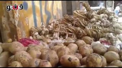 بالفيديو.. استقرار أسعار الخضراوات والبطاطس تسجل 3 جنيهات