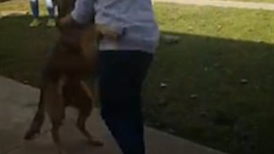 بالفيديو والصور.. رد فعل طفل يشاهد كلبه التائه منذ 8 أشهر