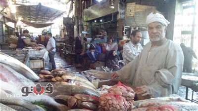 «الصناعة» تفرض رسم صادر على الأسماك